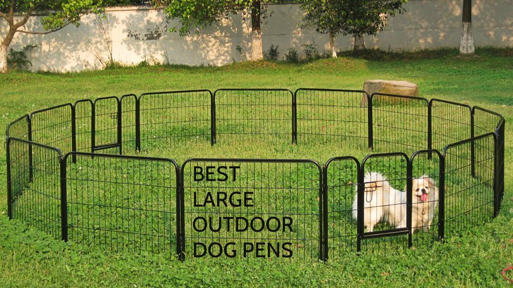 outside dog pen