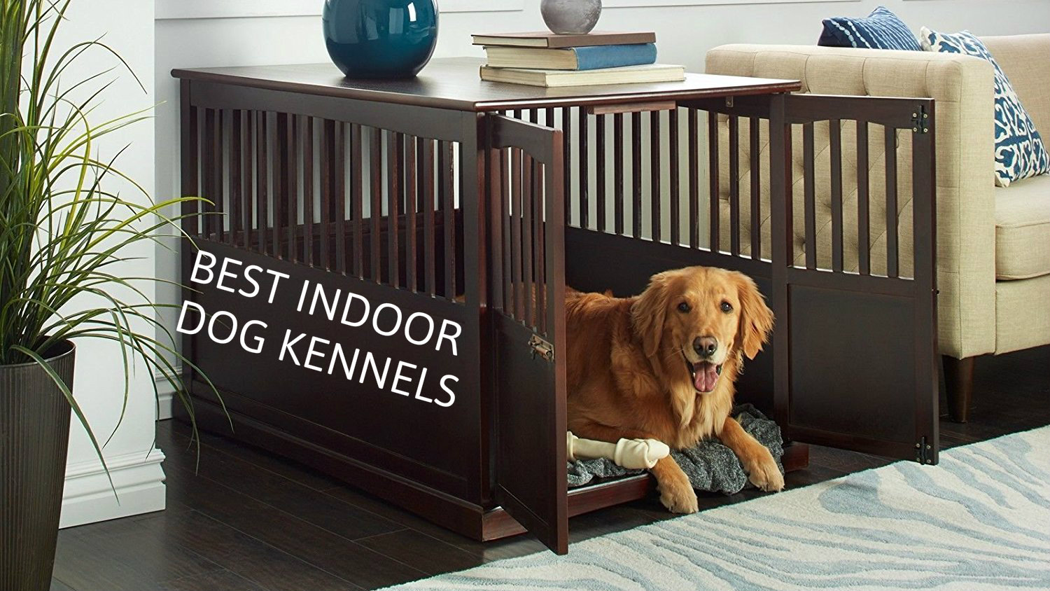 indoor dog kennels