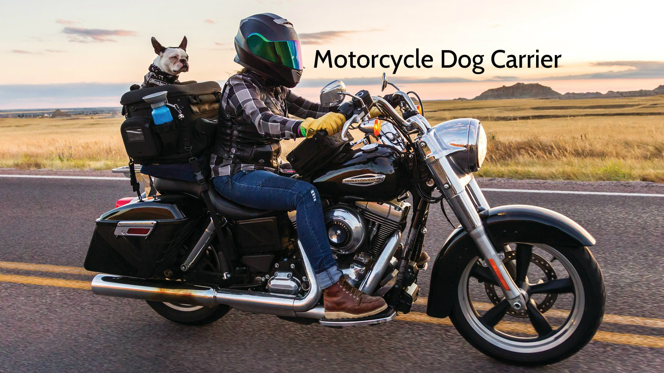 motorcycle dog carrier